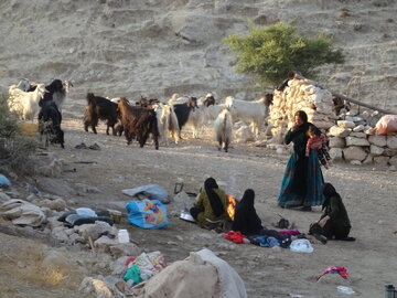 عشایر ۳۵ حرفه را پشتیبانی می‌کنند