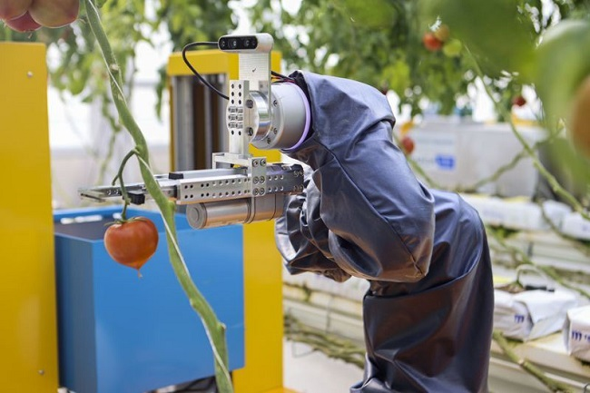 ربات های هوشمند مزرعه به کمک کشاورزان می آید 