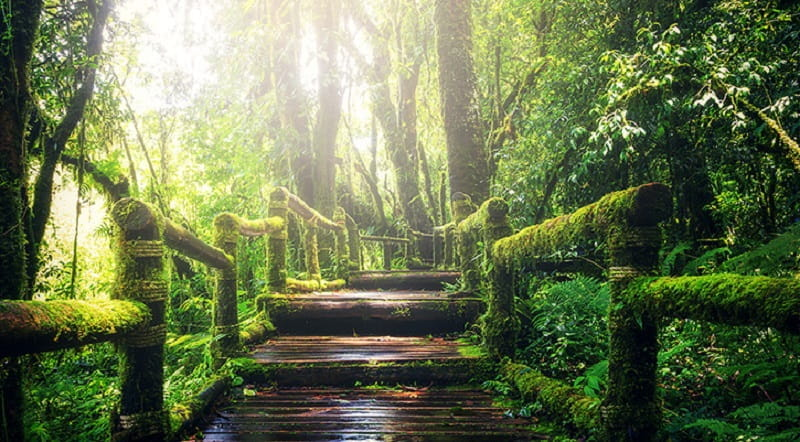 اطراف رشت کجا بریم؟