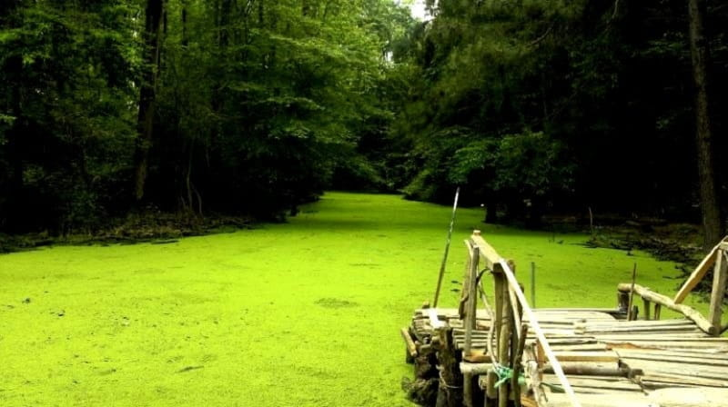 اطراف رشت کجا بریم؟