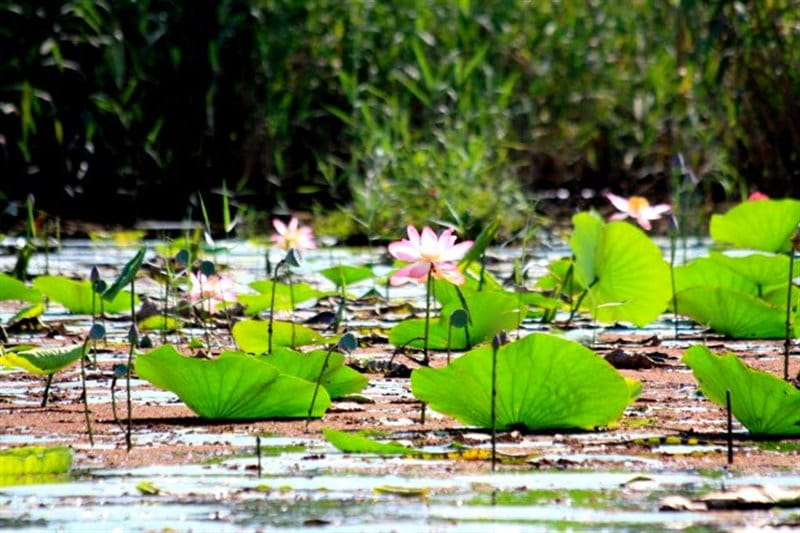 اطراف رشت کجا بریم؟