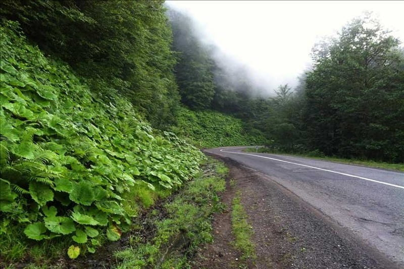 اطراف رشت کجا بریم؟