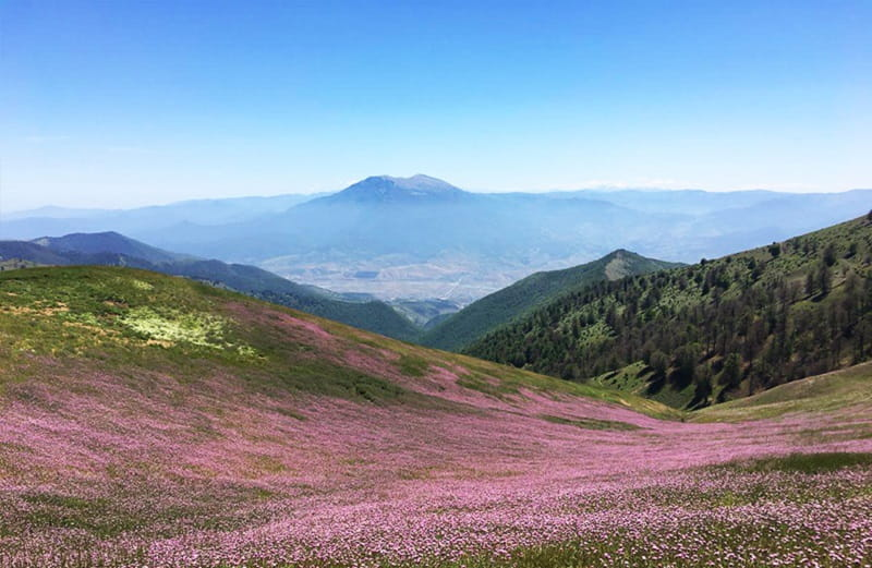 اطراف رشت کجا بریم؟