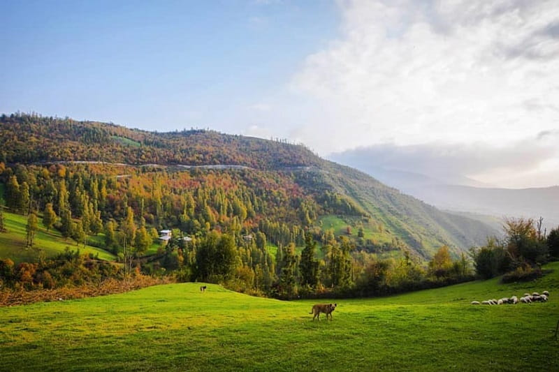 اطراف رشت کجا بریم؟