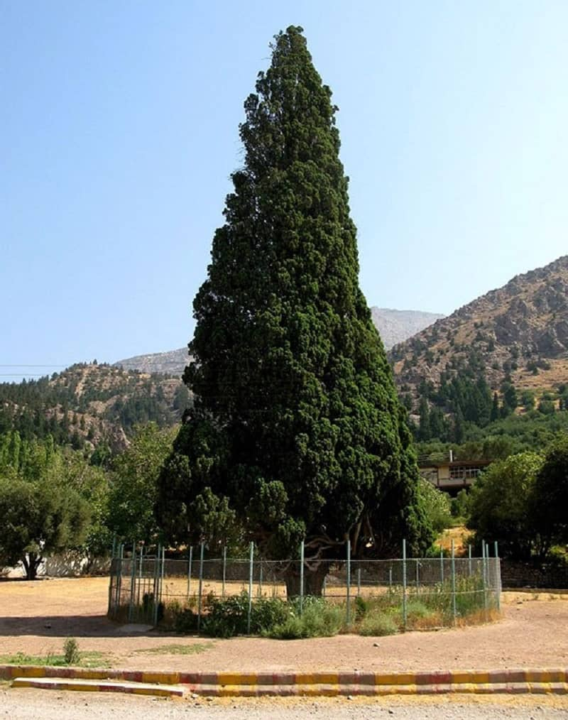 اطراف رشت کجا بریم؟