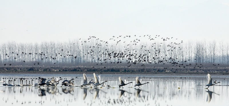 اطراف رشت کجا بریم؟