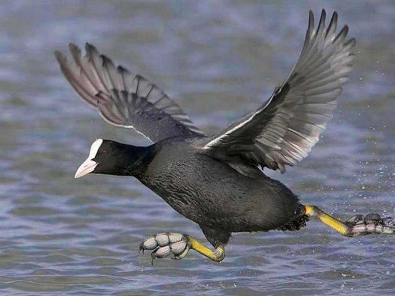 اطراف رشت کجا بریم؟