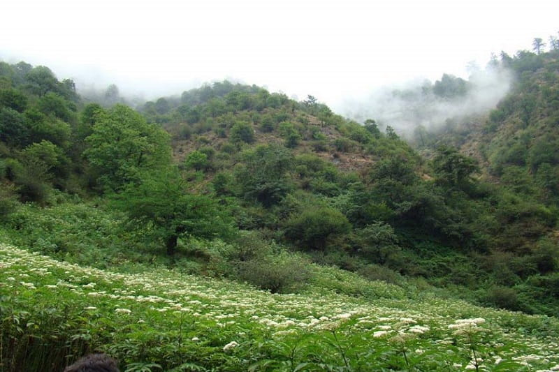 اطراف رشت کجا بریم؟