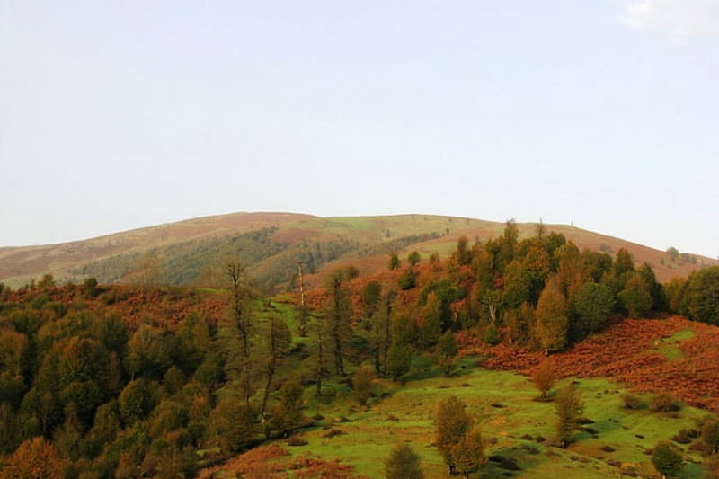 اطراف رشت کجا بریم؟