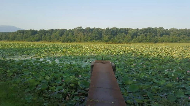 اطراف رشت کجا بریم؟