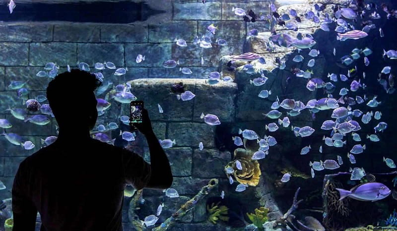 اطراف رشت کجا بریم؟