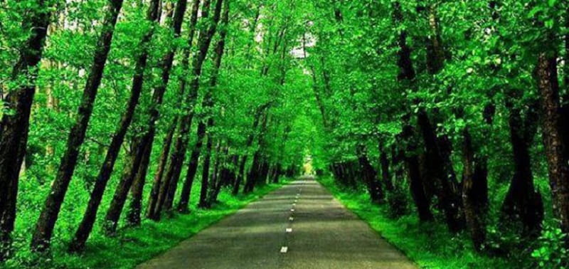 اطراف رشت کجا بریم؟