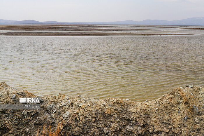 حیات در رگهای دریاچه ارومیه؛ برخورد با برداشتکنندگان غیرمجاز آب در مسیر