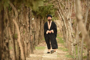 تصویری از سیدجمال‌الدین اسدآبادی‌ در مستند سینمایی «رژی»