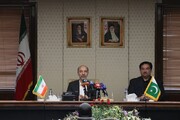 محرابیان: برق ایران از طریق تبادل انرژی با همسایگان پایدارسازی می‌شود