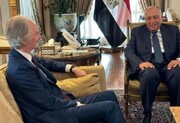 رایزنی تلفنی وزیر خارجه مصر با نماینده سازمان ملل / بحران سوریه محور گفت وگوها