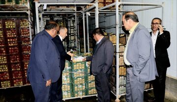 مشارکت بانک توسعه تعاون کهگیلویه و بویراحمد در تامین خرید میوه شب عید