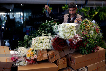 Marché aux fleurs et plantes de printemps à Téhéran