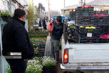 Marché aux fleurs et plantes de printemps à Téhéran