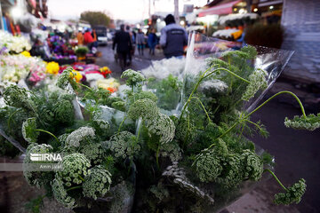 Marché aux fleurs et plantes de printemps à Téhéran