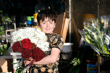 Marché aux fleurs et plantes de printemps à Téhéran