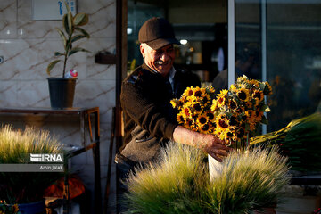 Marché aux fleurs et plantes de printemps à Téhéran