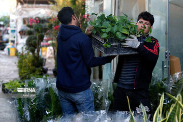 Marché aux fleurs et plantes de printemps à Téhéran