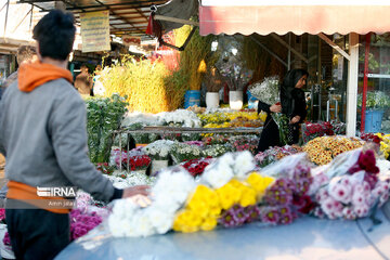 Marché aux fleurs et plantes de printemps à Téhéran