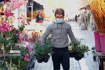 Marché aux fleurs et plantes de printemps à Téhéran
