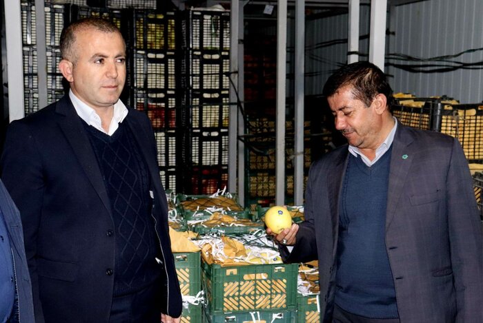 مشارکت بانک توسعه تعاون کهگیلویه و بویراحمد در تامین خرید میوه شب عید