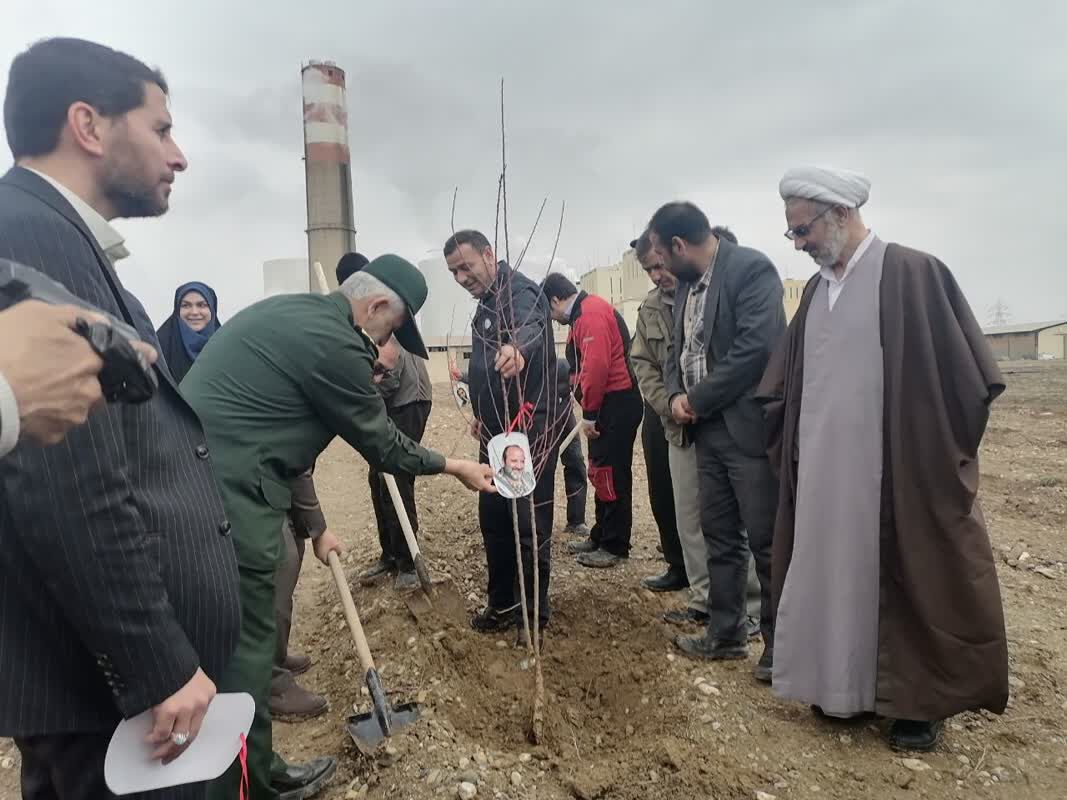 ۸ هزار نهال در محوطه نیروگاه برق شهید مفتح همدان کاشته شد