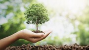 لزوم همراهی اصحاب رسانه در اجرای طرح کاشت یک میلیارد درخت