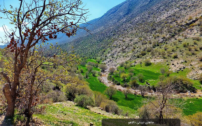 دالاهو سرزمین آب و سنگ؛ مامن آهوان و عقاب‌ها