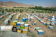 بیش از ۱۰ میلیارد تومان به طرح منظومه روستایی در کردستان اختصاص یافت