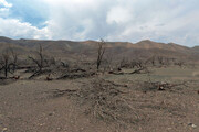 ۹۵ درصد استان اصفهان همچنان درگیر خشکسالی است