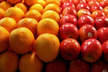توزیع میوه نوروزی تنظیم بازار در البرز آغاز شد