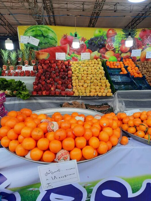 عرضه مستقیم سیب و پرتقال شب عید با قیمت مصوب