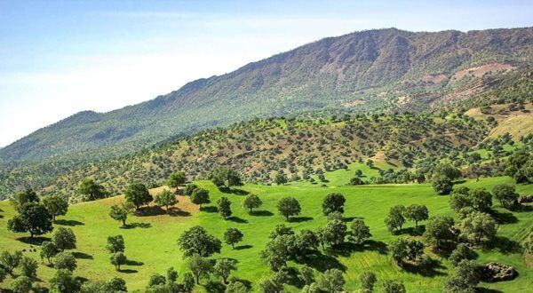 نوروزی خاطره انگیز با سفر به شهرستان زیبای ایوان