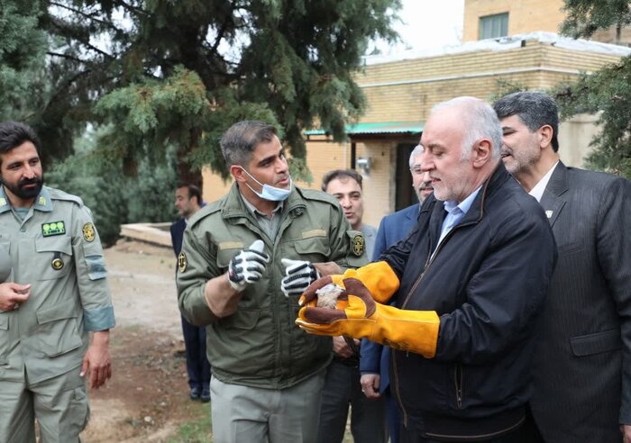 بازدید استاندار تهران از اداره کل حفاظت محیطزیست/ فخاری محیطبان افتخاری شد