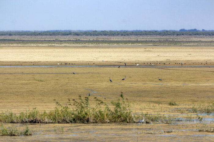 سفر به گنبدکاووس؛ در جستجوی طولانیترین اثر معماری ایران باستان