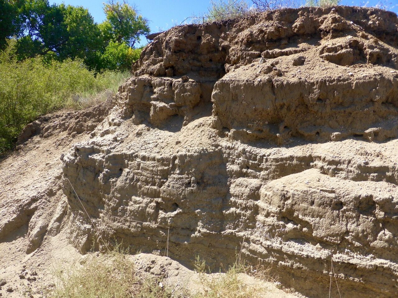 طراحی یک مدل جدید برای پیش بینی زلزله