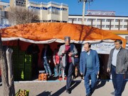 فرماندار همدان: طرح توزیع میوه تنظیم بازار قیمت ها را تثبیت کرد