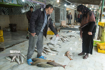 Fishmongers in Iran’s Bandar Torkaman