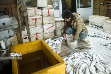 Fishmongers in Iran’s Bandar Torkaman