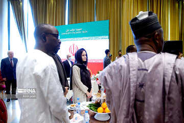 Nowruz Diplomacy Gathering in Tehran