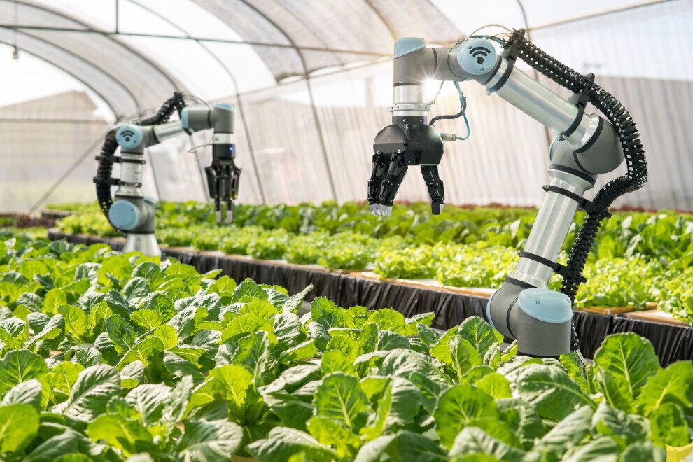 ربات های هوشمند مزرعه به کمک کشاورزان می آیند