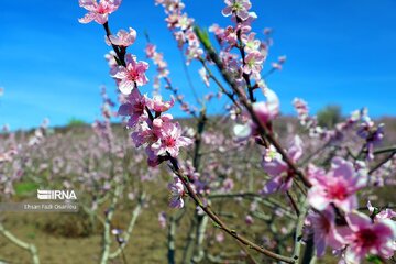 La nature de Māzandarān au printemps