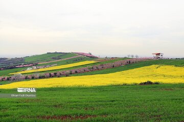 La nature de Māzandarān au printemps