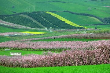 La nature de Māzandarān au printemps