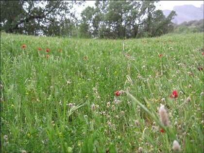 روستاهای کهگیلویه و بویراحمد مقصدی خاطره انگیز نوروزگردی